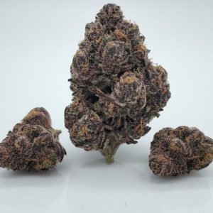 Blueberry Pancake