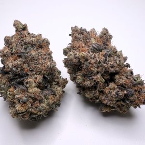 Presidential Purple