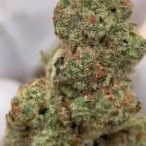 Platinum Lemon Gushers 9.25