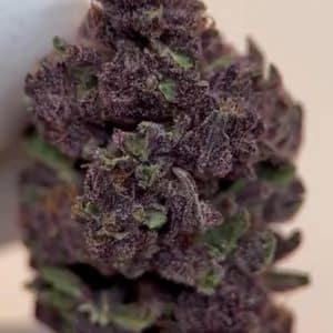 Lemon Cherry Inferno