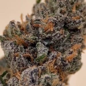 Frosted Cherry Bomb 2